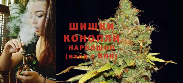 ПСИЛОЦИБИНОВЫЕ ГРИБЫ Богородск