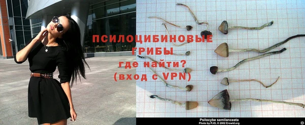 каннабис Богданович