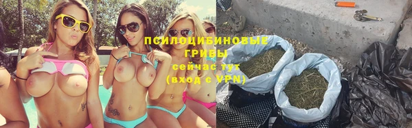 ПСИЛОЦИБИНОВЫЕ ГРИБЫ Богородск