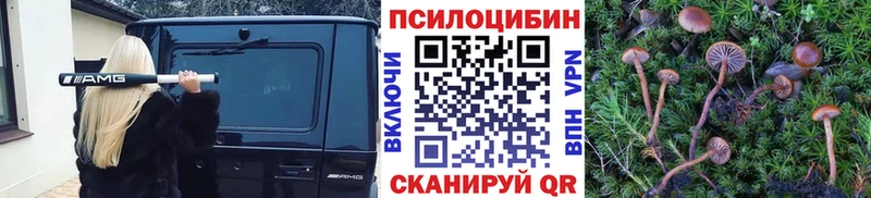 Галлюциногенные грибы мицелий  маркетплейс клад  Славгород  купить  