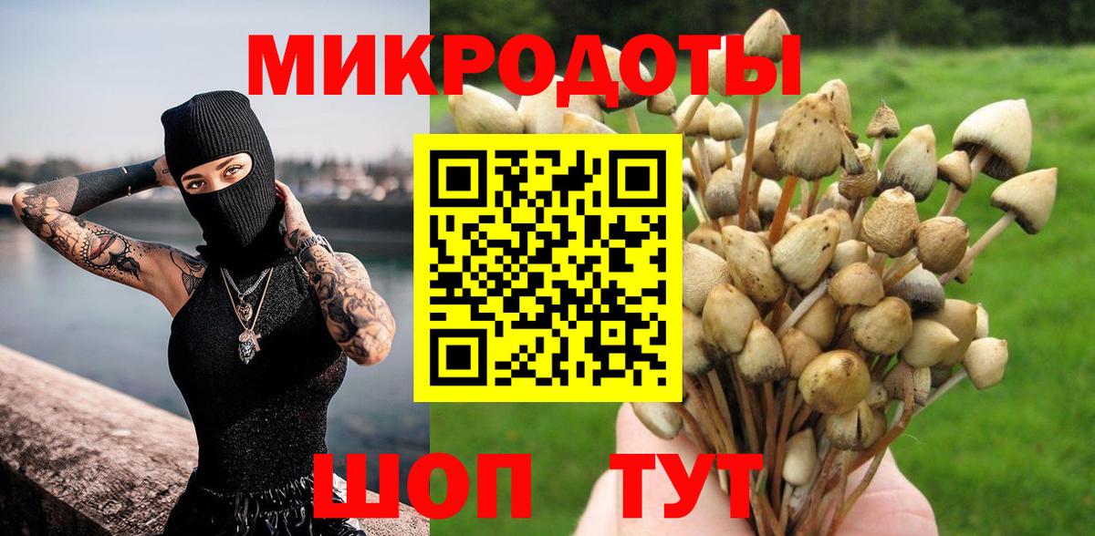Славгород  Галлюциногенные грибы Cubensis  Галлюциногенные грибы мицелий  цена наркотик  Вход с VPN 
