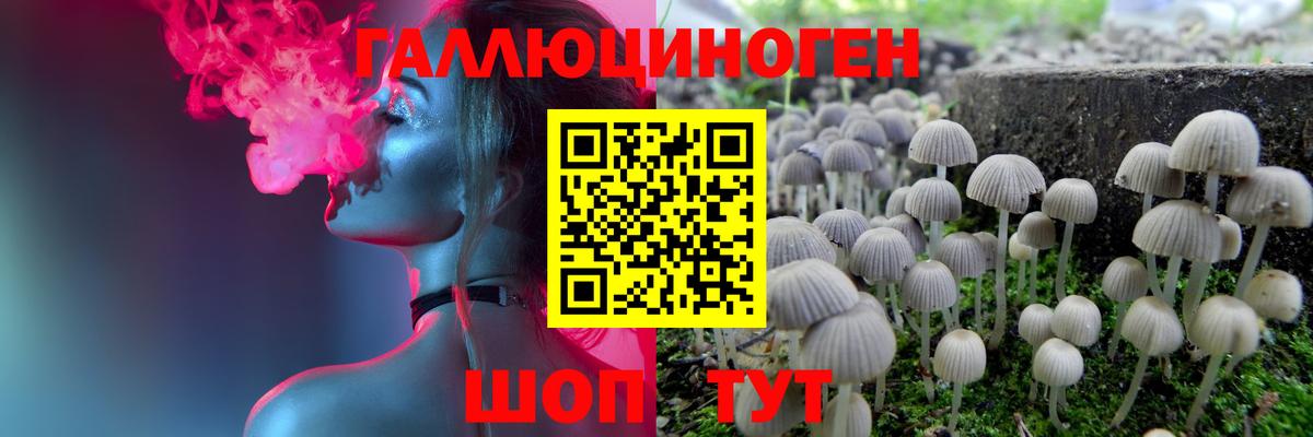 Галлюциногенные грибы Psilocybine cubensis Славгород